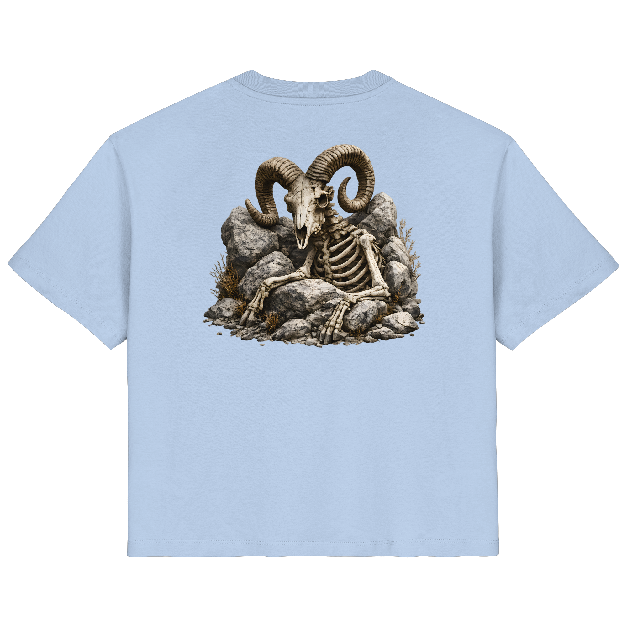 Tiefenblick Skelett Fun - Ladies Organic Shirt