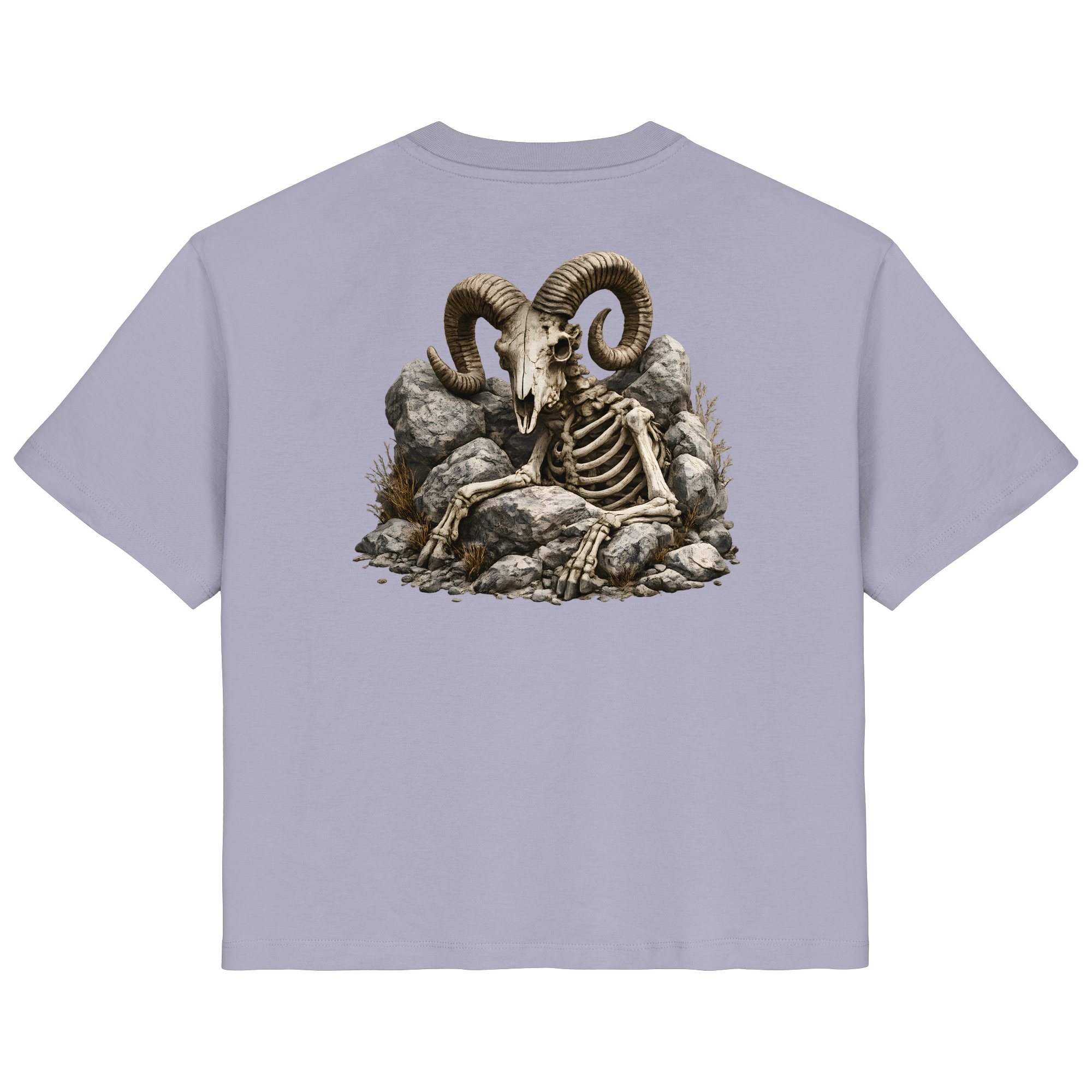 Tiefenblick Skelett Fun - Ladies Organic Shirt