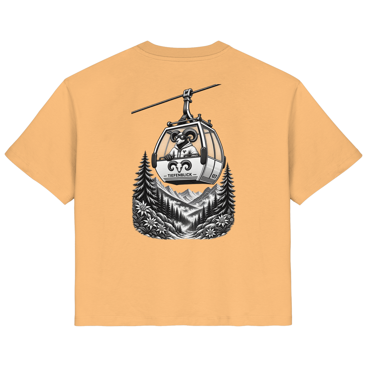 Tiefenblick Gondel Fun  - Ladies Organic Shirt