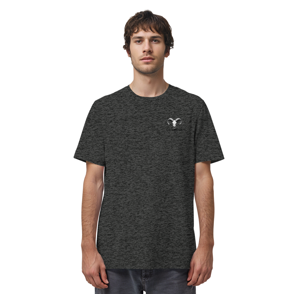 Tiefenblick Gondel Fun  - Organic Shirt